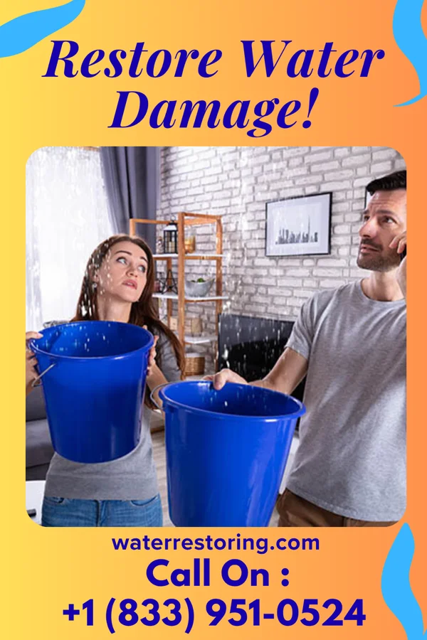 water restoration Horizon Storm Damage Network Travelers Rest
