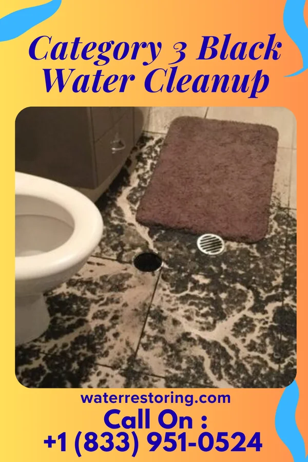 Category 3 Black Water Cleanup in Travelers Rest, SC